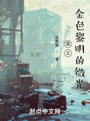 废土：金色黎明的微光